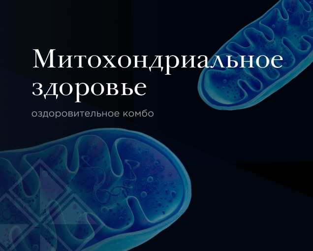Митохондриальное здоровье